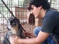 cane toccatore